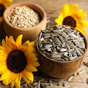 مغز تخمه آفتابگردان وکیوم 2 کیلوگرم