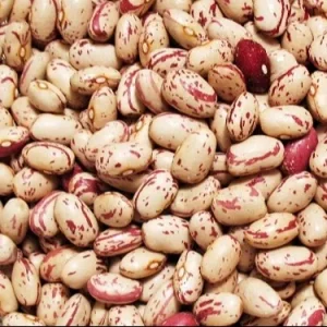 لوبیا چیتی وکیوم 800 گرم