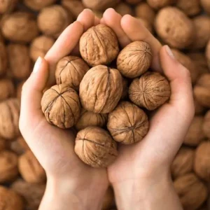 گردو اقتصادی کیسه 2 کیلوگرم