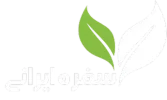 Image01.webp